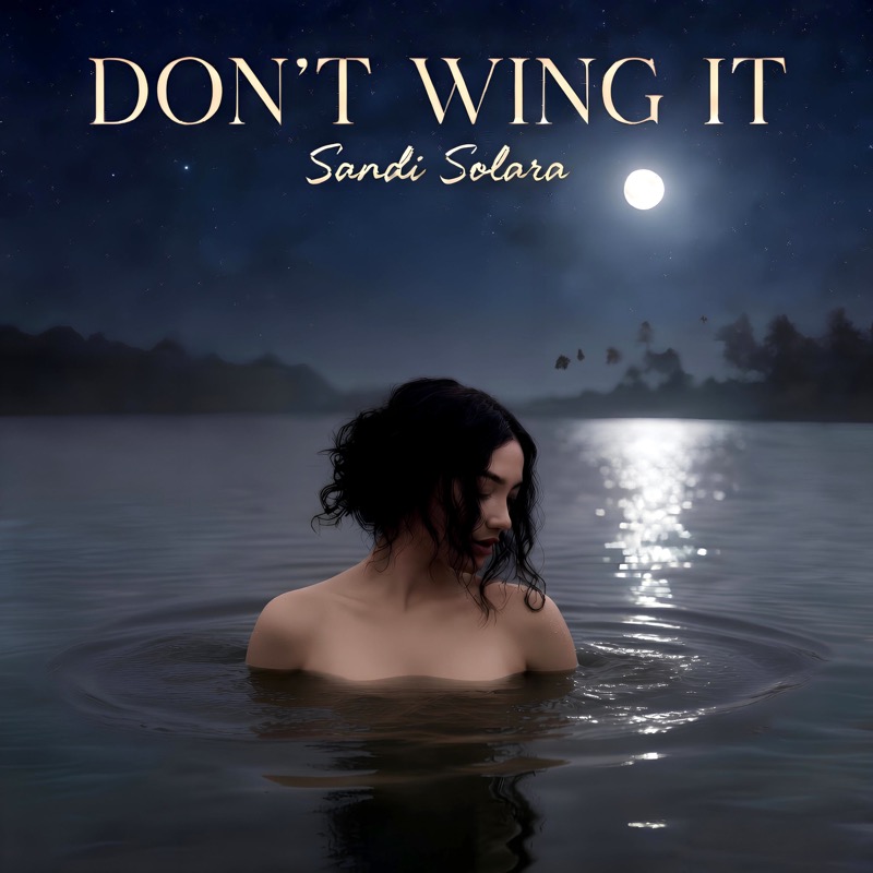 Don't Wing It by Sandi Solara